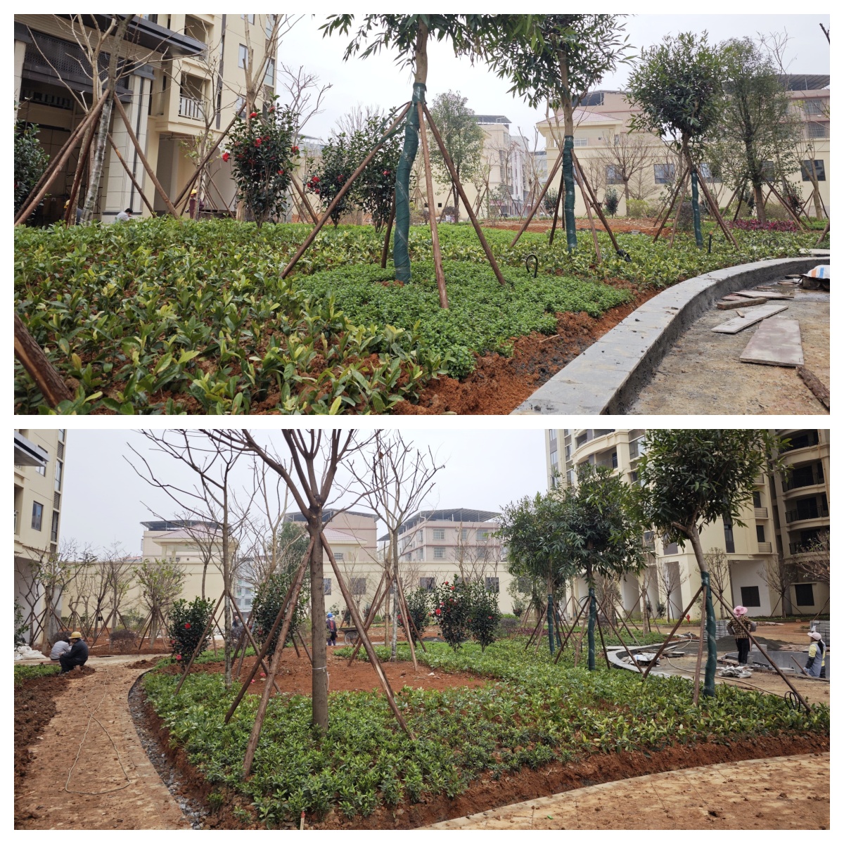 項(xiàng)目園林綠化_副本1 項(xiàng)目園林綠化_副本1