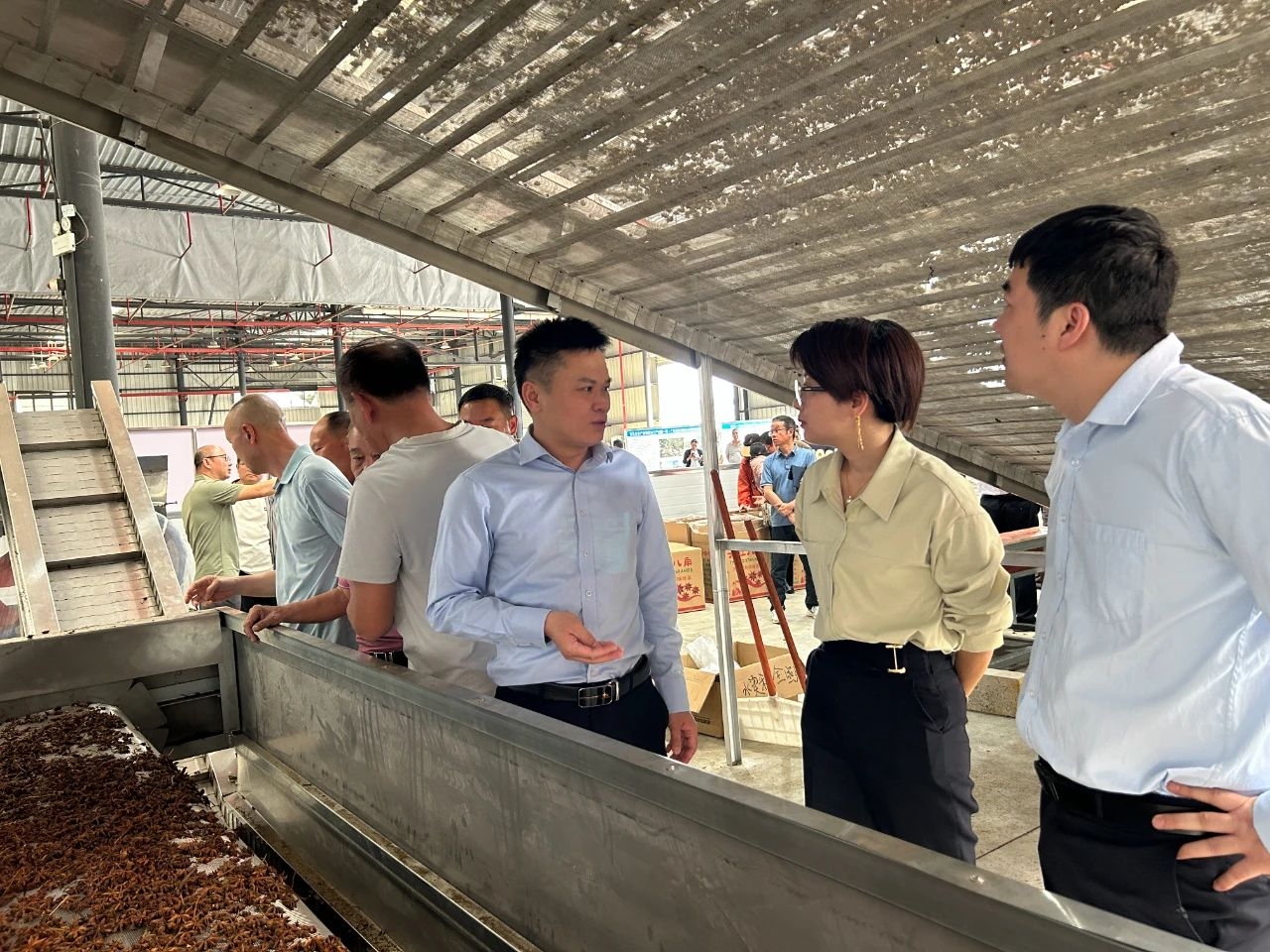 微信圖片_20250617175933 微信圖片_20250617175933